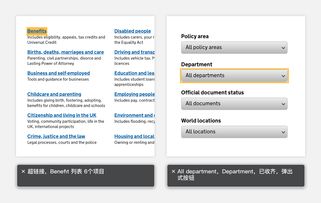 政務網站信息無障礙設計 研究篇